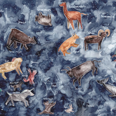 Poster 'STERNENKARTE'