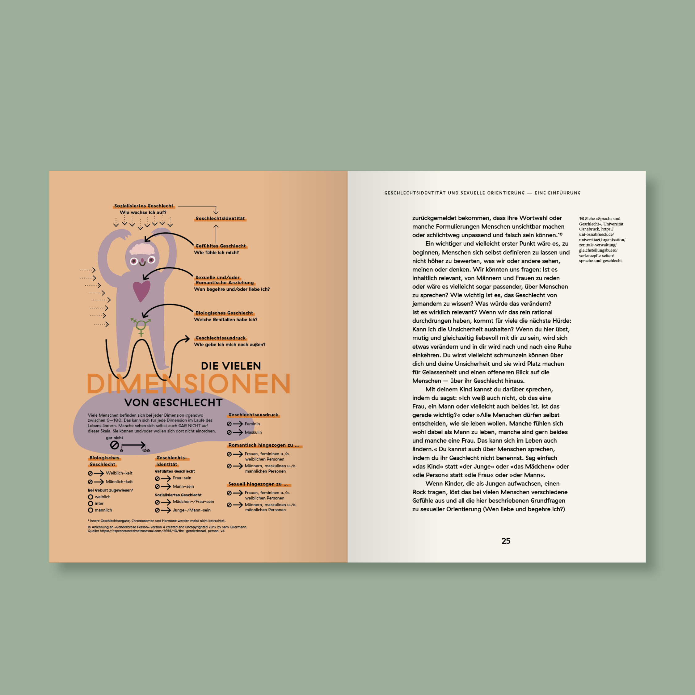 Leitfaden 'Mädchen, Junge, Kind' FamiliarFaces – Bild 6