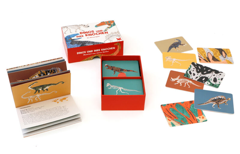 Memo-Spiel 'Dinos und ihre Knochen' – Bild 9