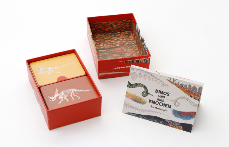 Memo-Spiel 'Dinos und ihre Knochen' – Bild 6