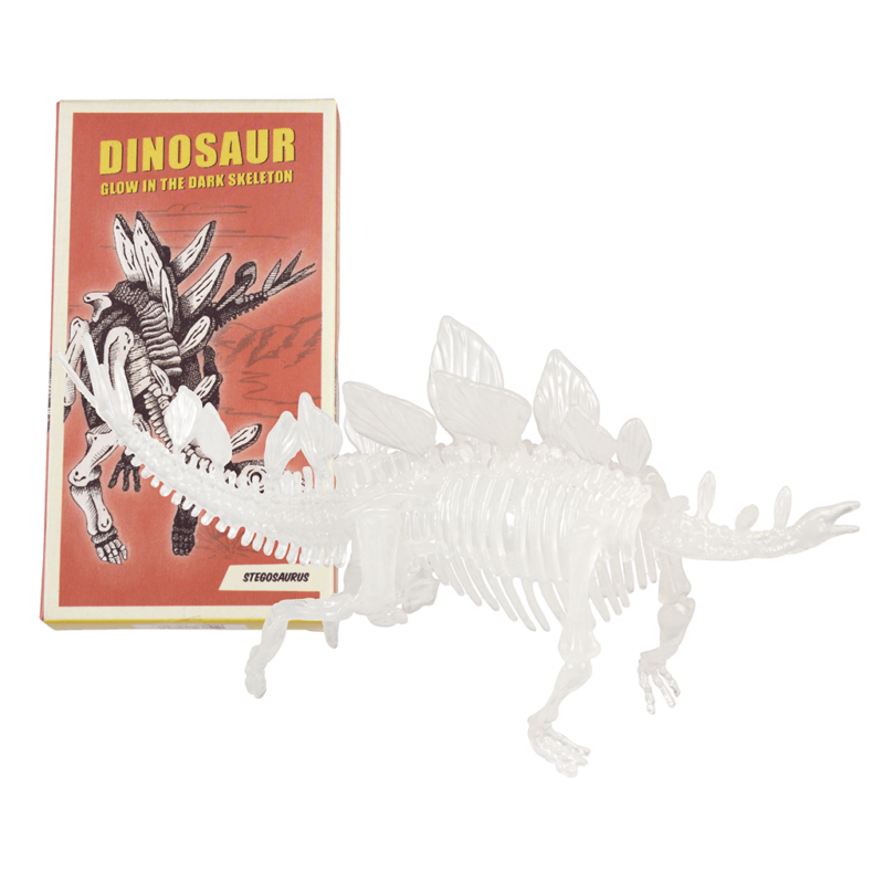 Bastel-Set 'Dinosaurier-Skelett – Bild 4
