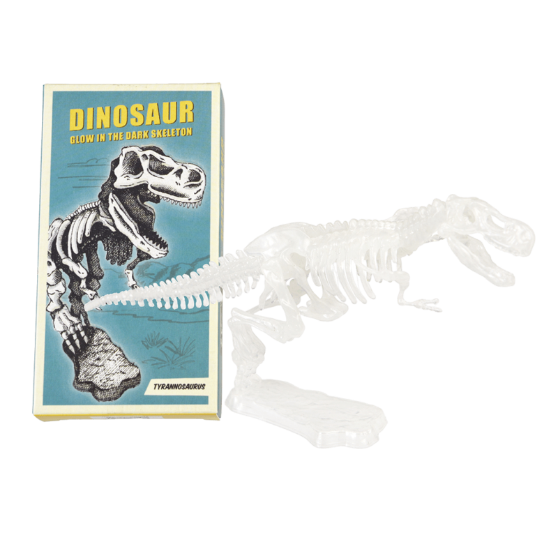 Bastel-Set 'Dinosaurier-Skelett – Bild 6