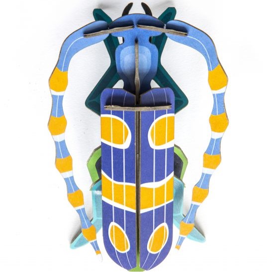 Studio ROOF Small Insects 'Rosalia Beetle'