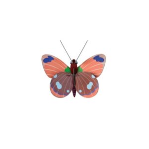 Studio ROOF 'Delias Butterfly'