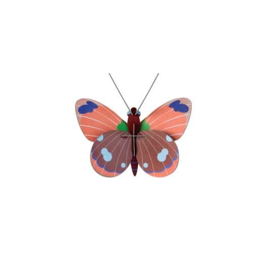 Studio ROOF 'Delias Butterfly'