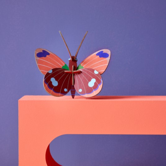 Studio ROOF 'Delias Butterfly' – Bild 2