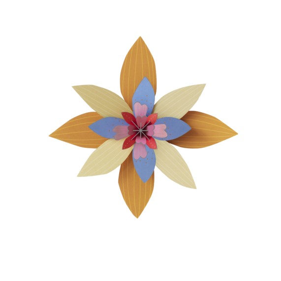 Studio ROOF 'Apricot Sorbet'