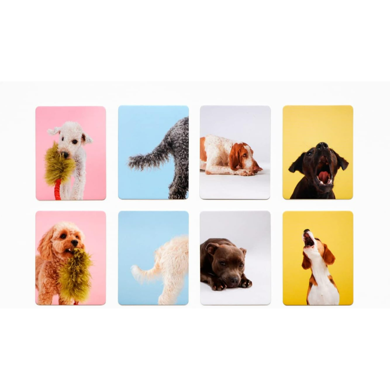 Memo-Spiel 'Hundesprache' – Bild 3